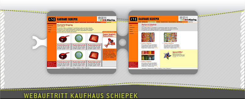 Ref_Schiepek1